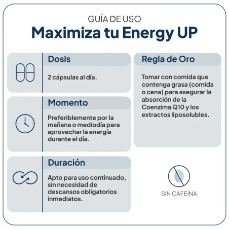 Energy UP IVB