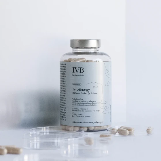 TYRO ENERGY IVB 2