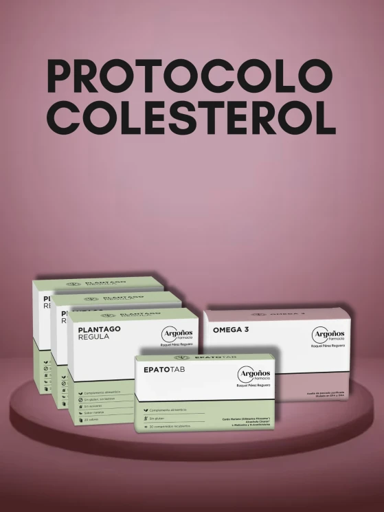 PROTOCOLO COLESTEROL 3 MESES